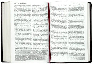 B AMPLIFIED HOLY BIBLE LARGE PRINT BURGUNDY (BLACK LETTER EDITION)