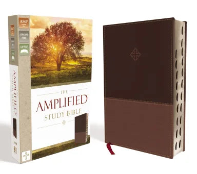B AMPLIFIED STUDY BIBLE BROWN INDEXED (BLACK LETTER EDITION)