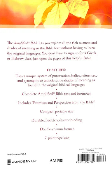 B AMPLIFIED OUTREACH BIBLE (BLACK LETTER EDITION)