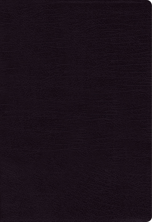 NIV THINLINE BIBLE LARGE PRINT BLACK (RED LETTER EDITION)