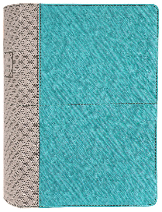 B NIV STUDY BIBLE TEAL/GRAY (RED LETTER EDITION) FULLY REVISED EDITION (2020)