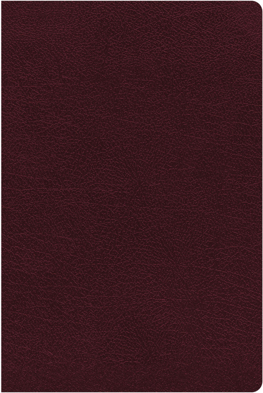 B NIV THINLINE REFERENCE BIBLE BURGUNDY (RED LETTER EDITION)