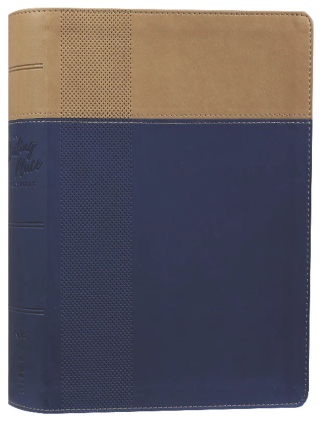 NIV Starting Place Study Bible Blue/Tan