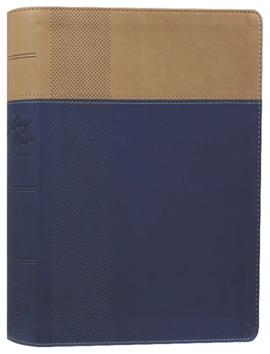 NIV Starting Place Study Bible Blue/Tan