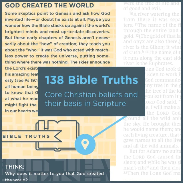 NIV Starting Place Study Bible Blue/Tan