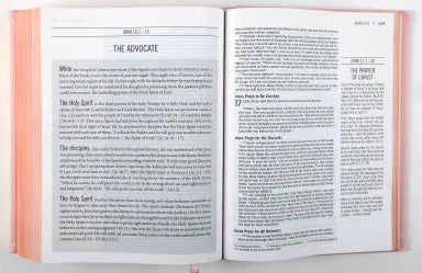 NIV THE JESUS BIBLE PINK COMFORT PRINT EDITION (BLACK LETTER EDITION)