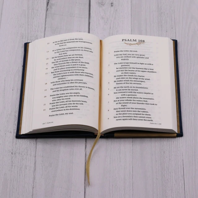 B NIV PSALMS AND PROVERBS NAVY