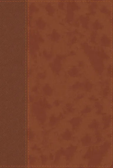 B NIV PERSONAL SIZE BIBLE LARGE PRINT BROWN (RED LETTER EDITION)