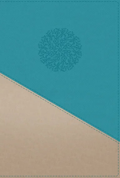 B NIV PERSONAL SIZE BIBLE LARGE PRINT TEAL/GOLD (RED LETTER EDITION)