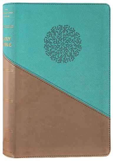 B NIV PERSONAL SIZE BIBLE LARGE PRINT TEAL/GOLD (RED LETTER EDITION)