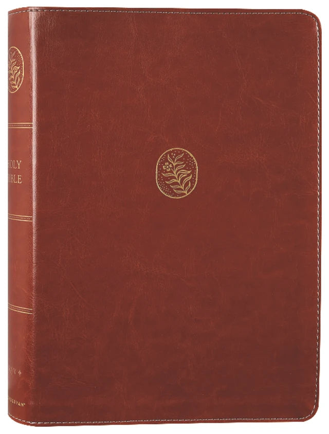 NRSV C S Lewis Bible Brown