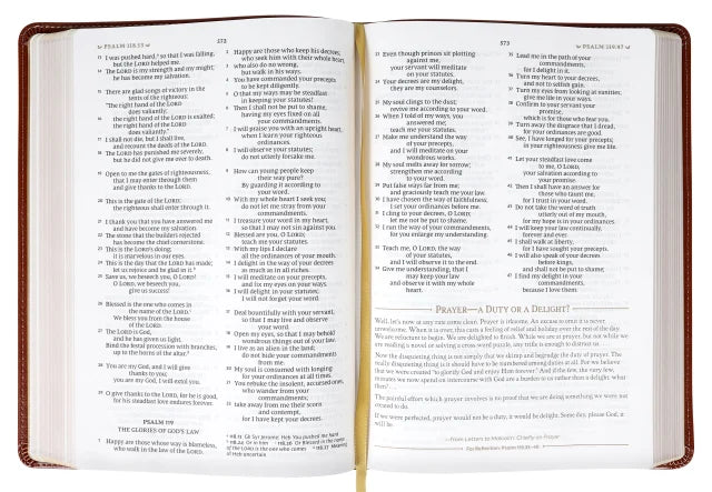 NRSV C S Lewis Bible Brown