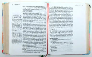 B NIV THE JESUS BIBLE MULTI-COLOR TEAL