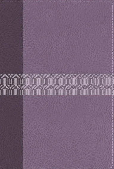 B NIV GIANT PRINT COMPACT BIBLE PURPLE (RED LETTER EDITION)