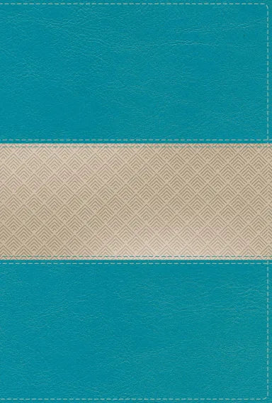 B NIV GIANT PRINT COMPACT BIBLE TEAL (RED LETTER EDITION)