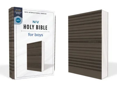 B NIV HOLY BIBLE FOR BOYS GRAY