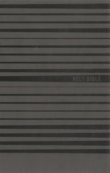 B NIV HOLY BIBLE FOR BOYS GRAY