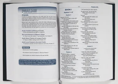 B NIV TEEN STUDY BIBLE BLUE COMFORT PRINT