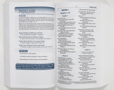 B NIV TEEN STUDY BIBLE COMFORT PRINT