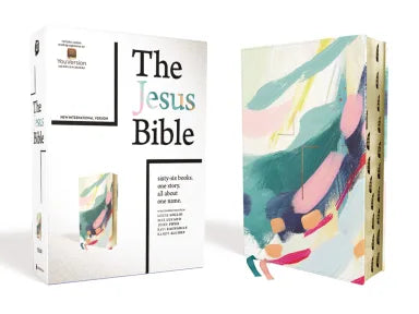 NIV JESUS BIBLE ARTIST EDITION MULTI-COLOR/TEAL THUMB INDEXED