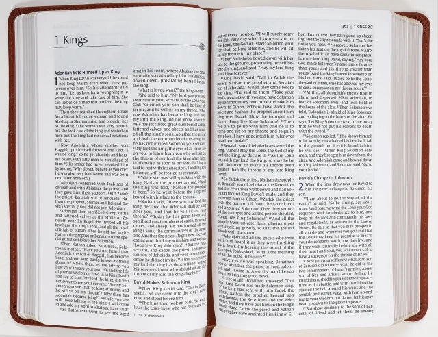 B NIV MEN'S DEVOTIONAL BIBLE BROWN (BLACK LETTER EDITION)