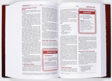 NKJV TEEN STUDY BIBLE