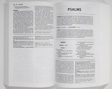 B NIV BASIC STUDY BIBLE ECONOMY EDITION BLUE (RED LETTER EDITION)