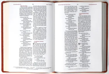 B NIV WIDE MARGIN BIBLE BROWN (RED LETTER EDITION)