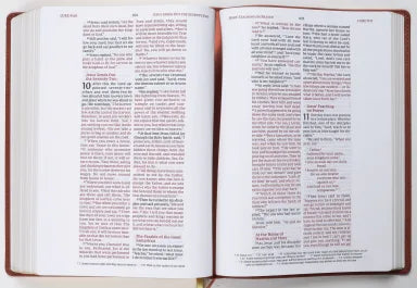 B NIV WIDE MARGIN BIBLE BROWN (RED LETTER EDITION)