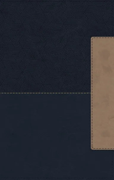 B NIV THINLINE BIBLE BLUE (RED LETTER EDITION)