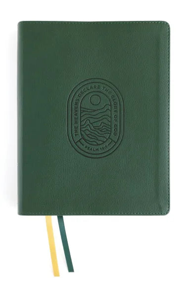 NIV JOURNAL THE WORD BIBLE GREEN (RED LETTER EDITION)