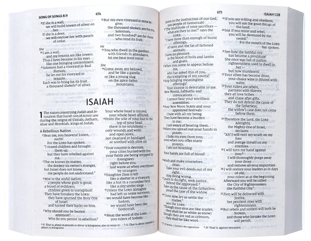 NIV HOLY BIBLE  LARGER PRINT  ECONOMY EDITION  BLUE