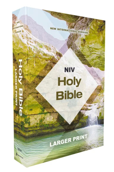 NIV HOLY BIBLE  LARGER PRINT  ECONOMY EDITION  TEAL/TAN