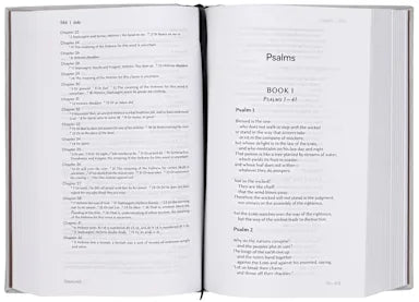 B NIV LECTIO BIBLE: A SIMPLE  ANCIENT WAY TO READ THE LIBRARY OF SCRIPTURE (BLACK LETTER EDITION)