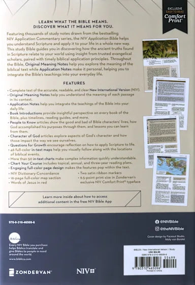 B NIV APPLICATION BIBLE  (RED LETTER EDITION)