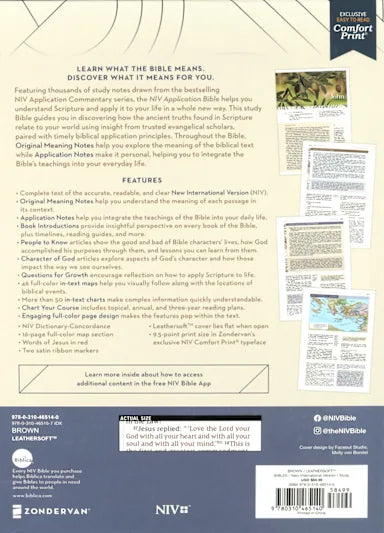 B NIV APPLICATION BIBLE  BROWN (RED LETTER EDITION)