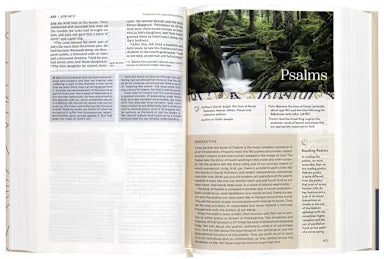 B NIV APPLICATION BIBLE  BROWN (RED LETTER EDITION)