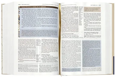 B NIV APPLICATION BIBLE  BROWN (RED LETTER EDITION)