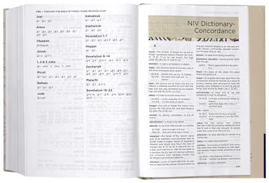 B NIV APPLICATION BIBLE  BROWN (RED LETTER EDITION)