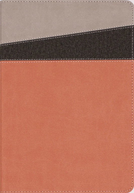 B NIV APPLICATION BIBLE  CORAL/GRAY (RED LETTER EDITION)