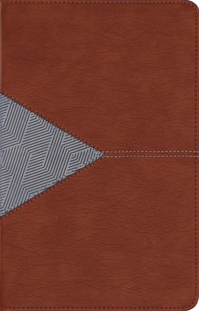 B NIV APPLICATION BIBLE  PERSONAL SIZE  BROWN/BLUE  THUMB INDEXED (RED LETTER EDITION)