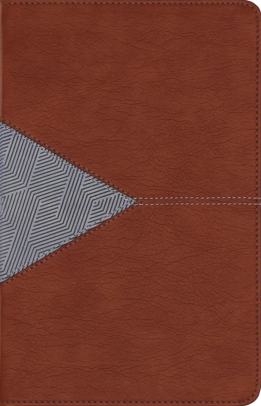 B NIV APPLICATION BIBLE  PERSONAL SIZE  BROWN/BLUE  THUMB INDEXED (RED LETTER EDITION)