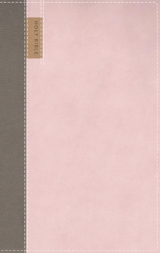 B NIV APPLICATION BIBLE  PERSONAL SIZE  PINK (RED LETTER EDITION)