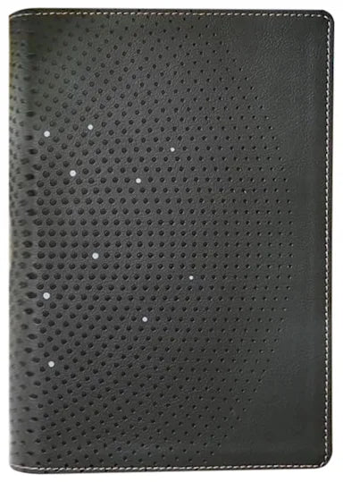 B NIV CLEAR FOCUS BIBLE  BROWN