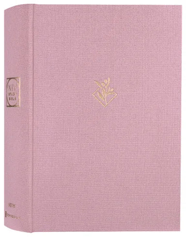 B NIV STUDY BIBLE  FULLY REVISED EDITION (STUDY DEEPLY. BELIEVE WHOLEHEARTEDLY)  PINK (RED LETTER EDITION)