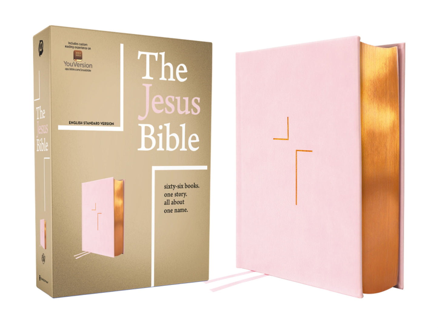 ESV THE JESUS BIBLE  PINK