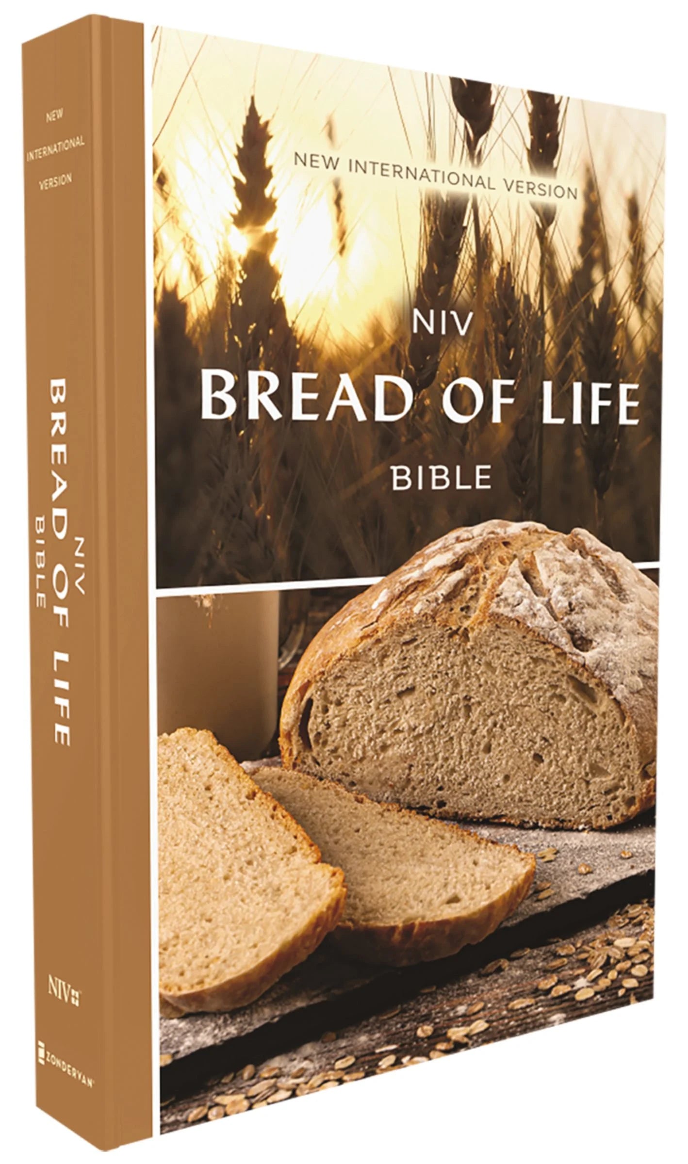 NIV BREAD OF LIFE OUTREACH BIBLE