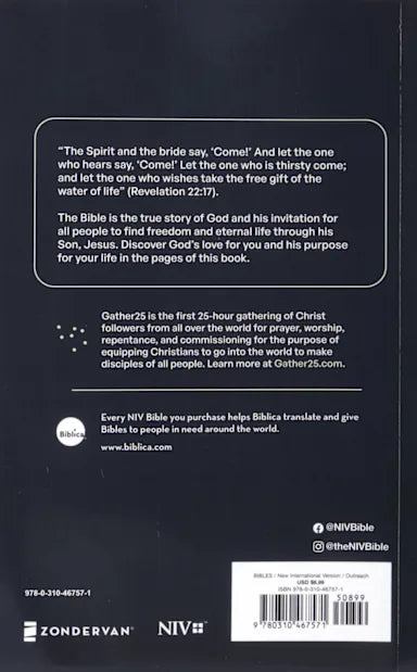 B NIV JESUS EVERYWHERE OUTREACH BIBLE  LARGER PRINT