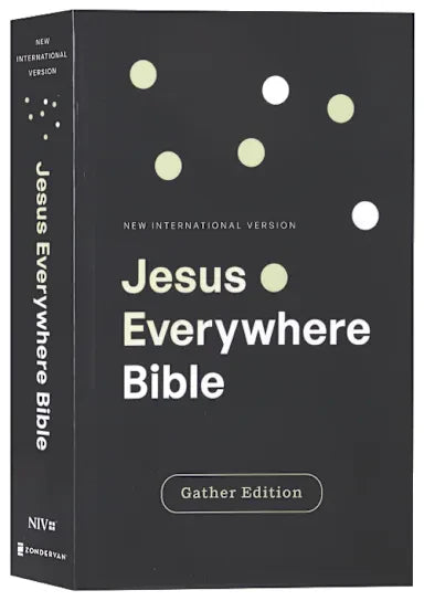 B NIV JESUS EVERYWHERE OUTREACH BIBLE  LARGER PRINT