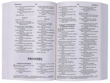 B NIV JESUS EVERYWHERE OUTREACH BIBLE  LARGER PRINT